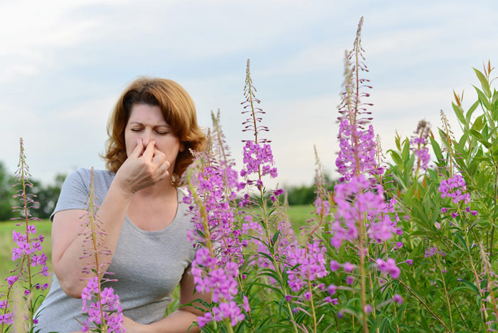 Portrait of a woman near willow-herb in the field
