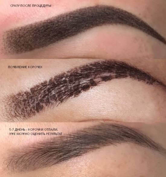 Перманентный макияж бровей, пудровое напыление. Фото до и после, сколько держится, заживление