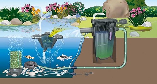 Полезные рекомендации по выбору фильтра для очистки пруда