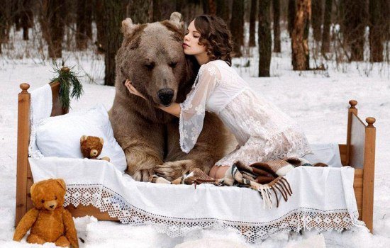 К чему снятся медведи женщине: особенности и значение сновидения